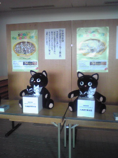 20100828-kuroneko bokin.jpg